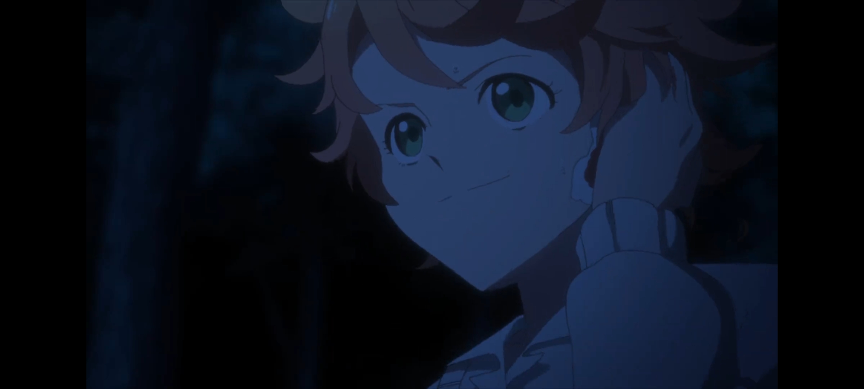 约定的梦幻岛,动画,动漫,番剧,二次元,ACG