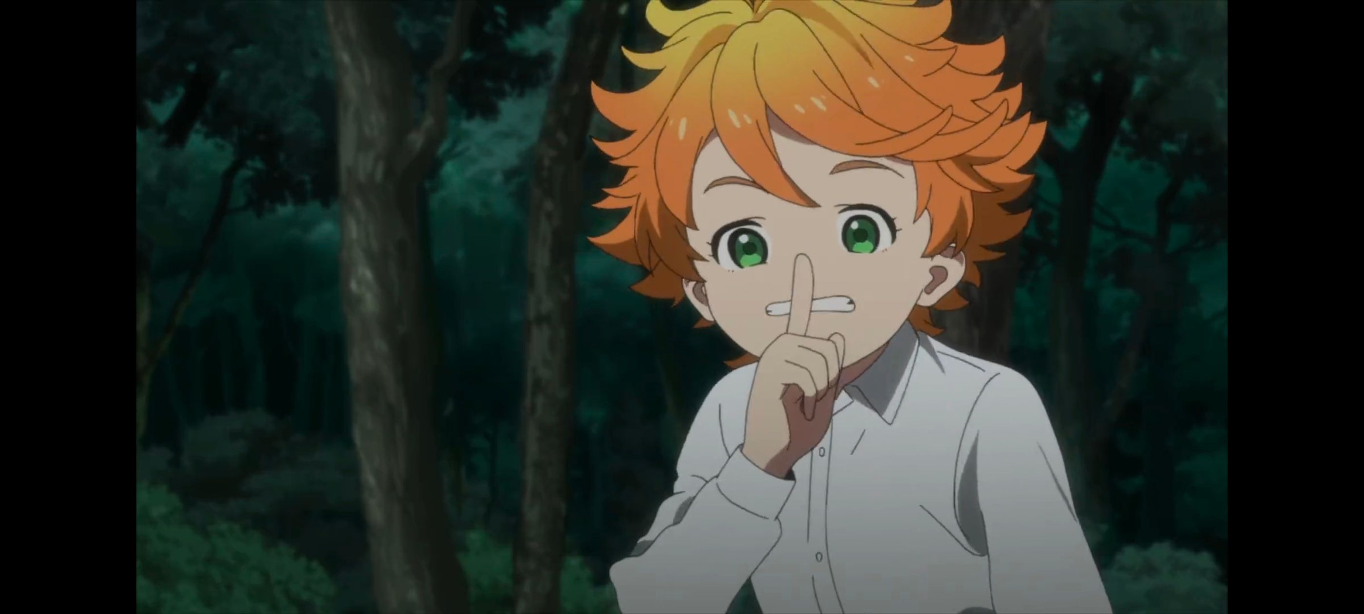 约定的梦幻岛,动画,动漫,番剧,ACG