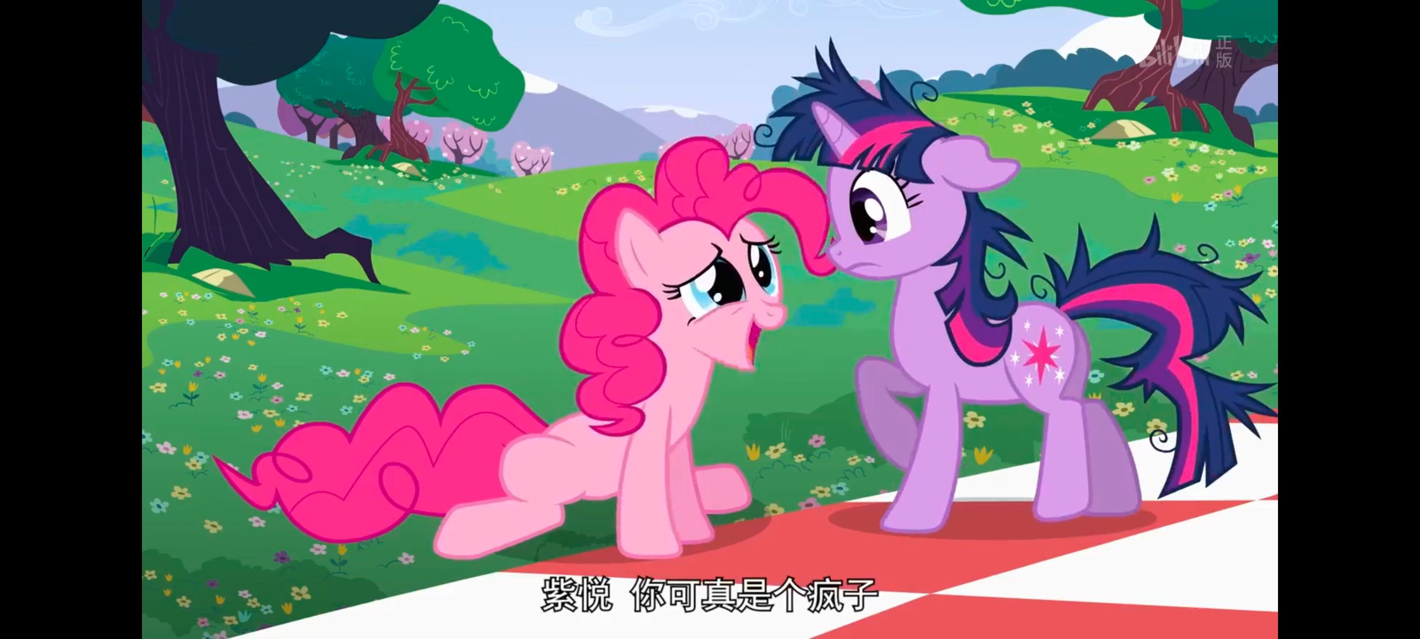 小马宝莉,小马宝莉友谊魔法,彩虹小马,我的小马驹,动画,动漫,番剧,ACG