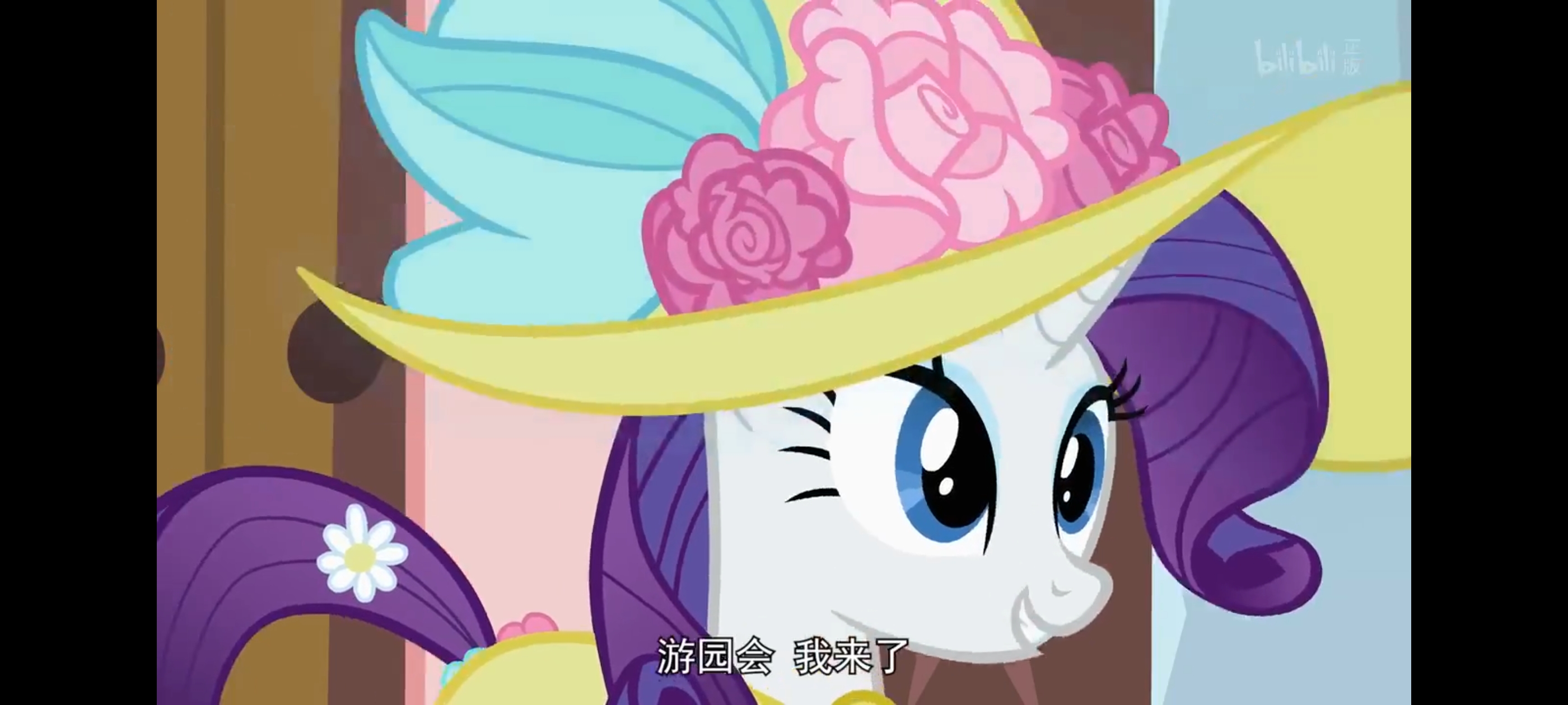 小马宝莉,彩虹小马,我的小马驹,动画,动漫,番剧,ACG