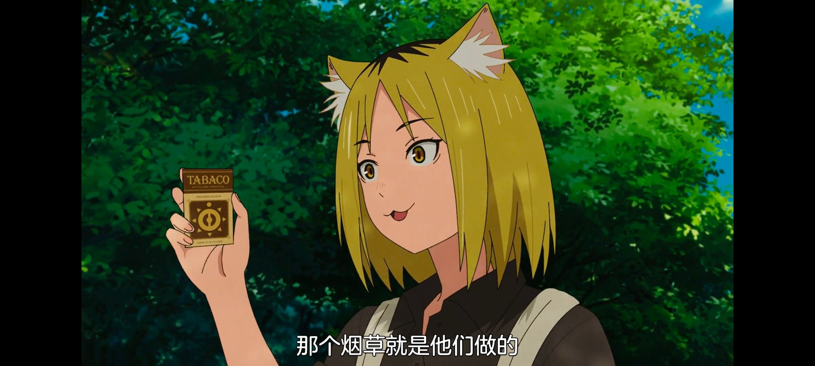 尼古喵喵,雅尼猫,动画,动漫,番剧,日漫,二次元,ACG
