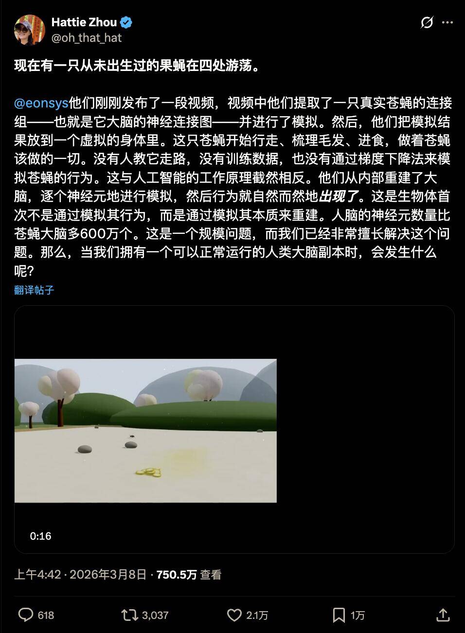 果蝇,电脑,科幻,科技