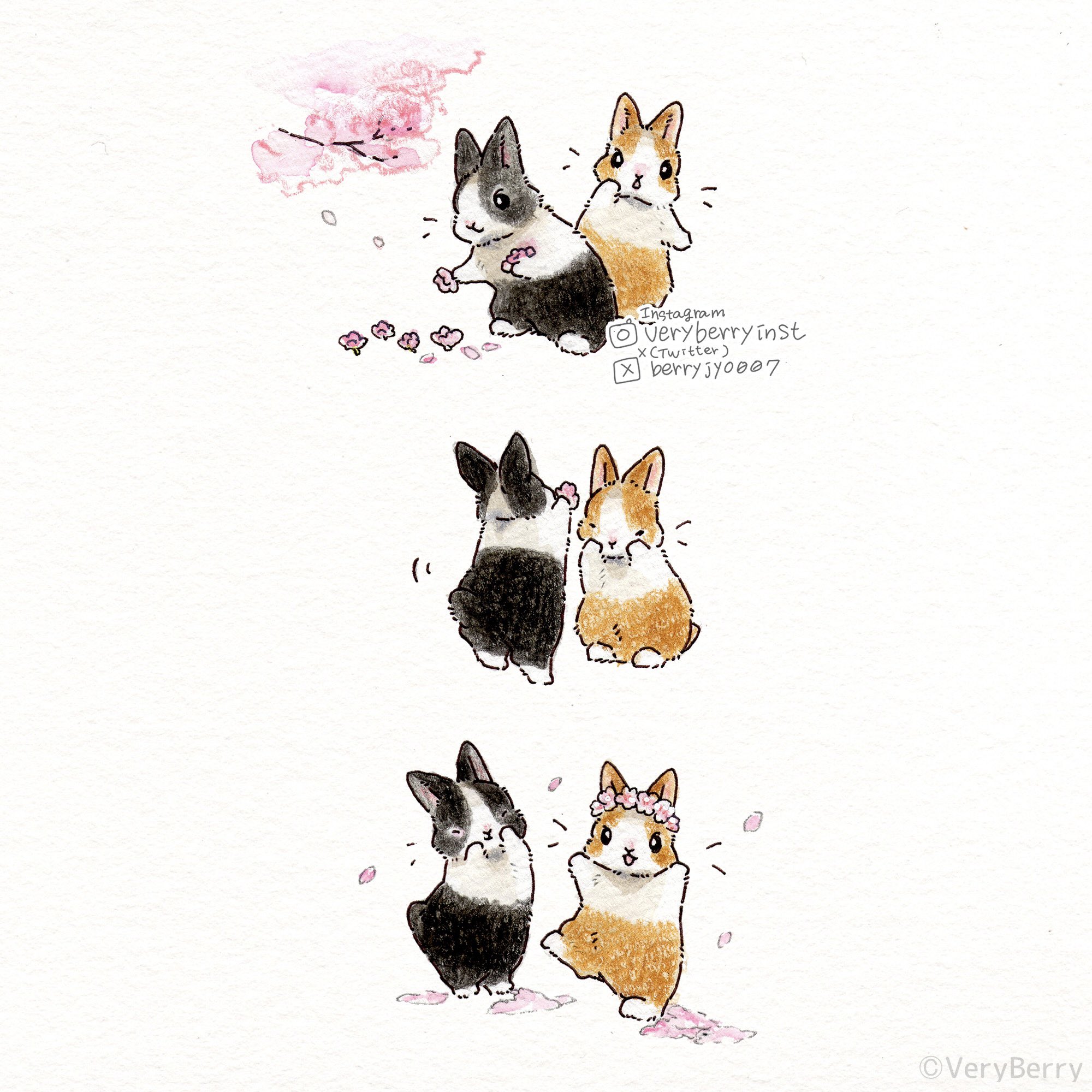 pixiv,萌宠,兔子,漫画