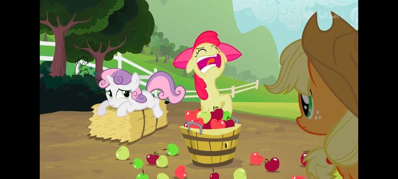 小马宝莉,小马宝莉友谊魔法,彩虹小马,我的小马驹,动画,动漫,番剧,ACG