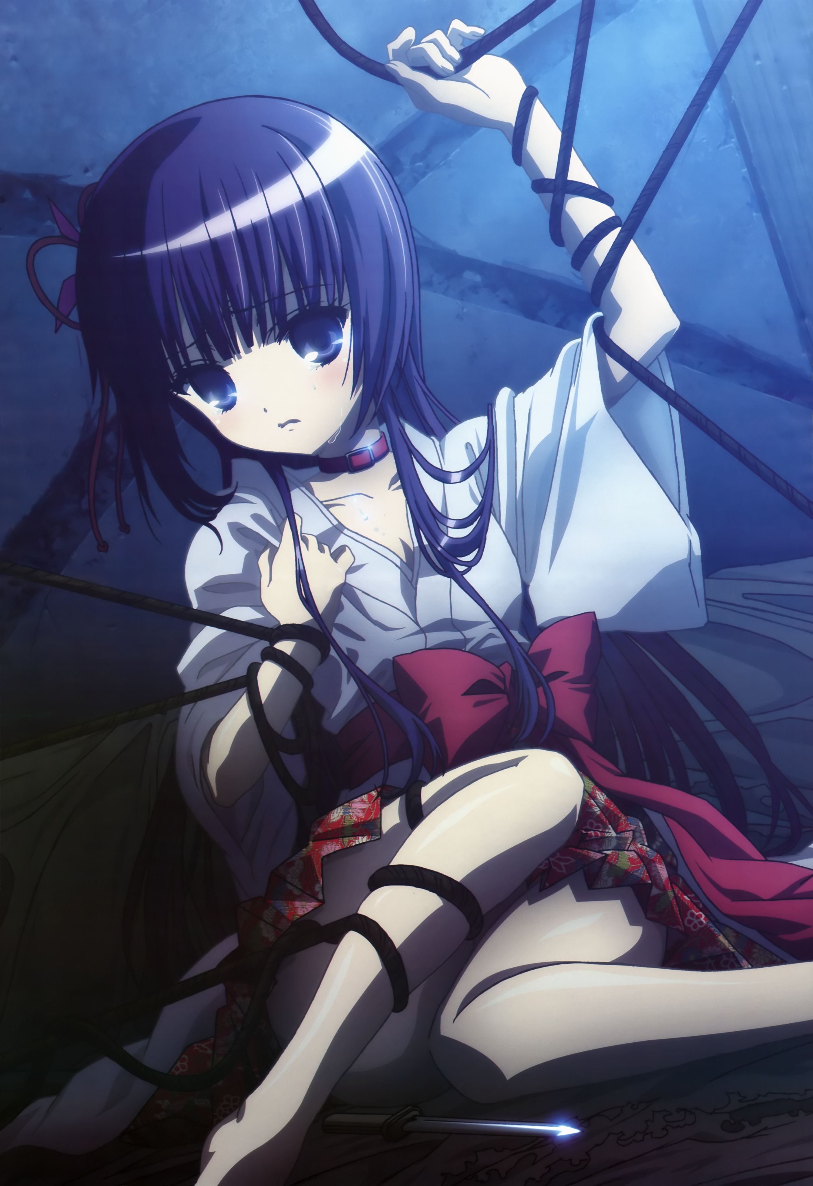 动漫,ACG,二次元,杂志,Nyantype