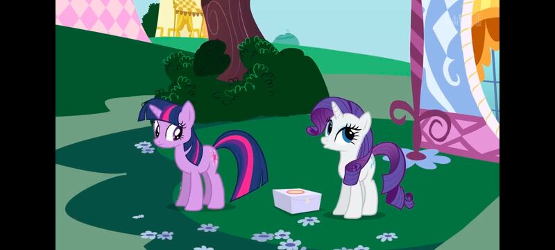 小马宝莉,小马宝莉友谊魔法,彩虹小马,我的小马驹,动画,动漫,番剧,ACG