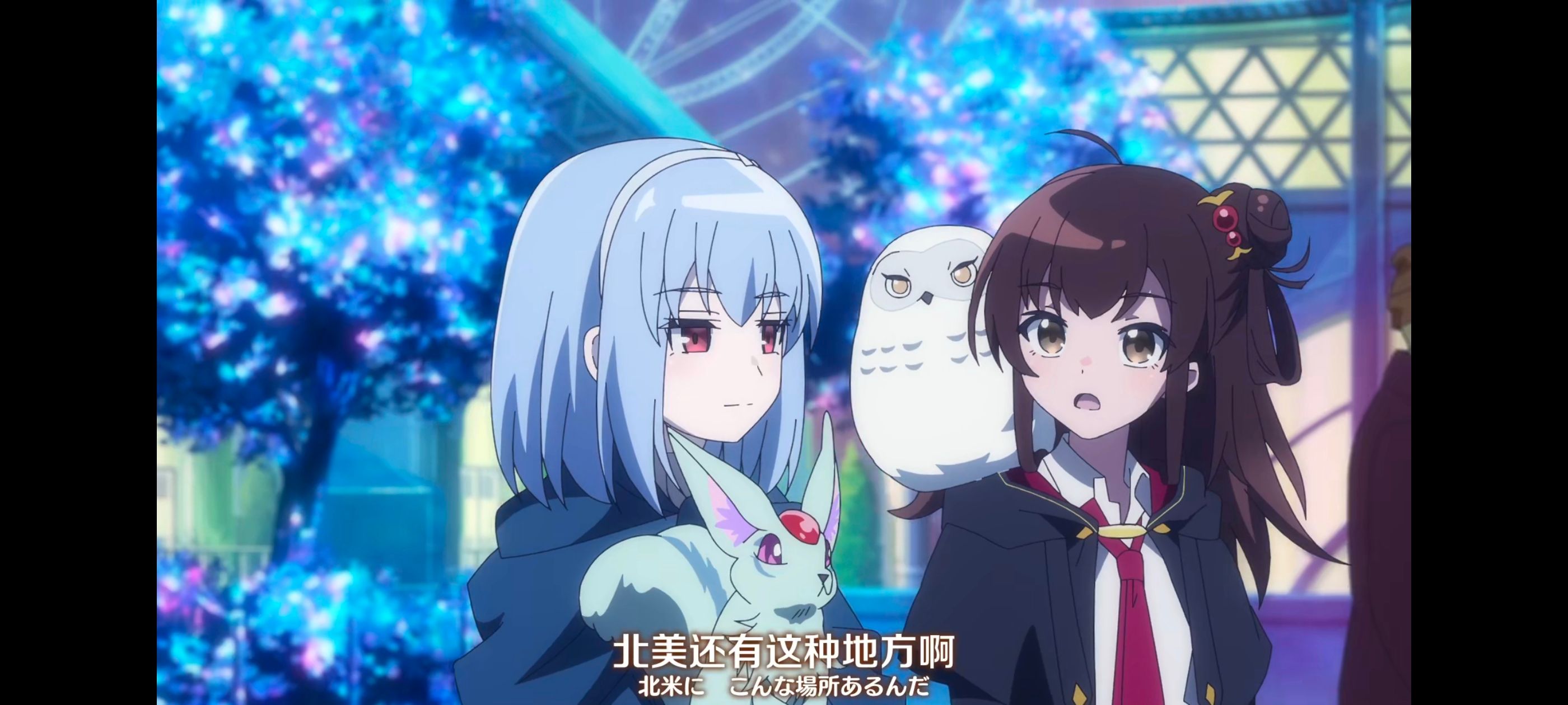 直至魔女消逝,直到某魔女死去,奇幻,动漫,动画,番剧,ACG