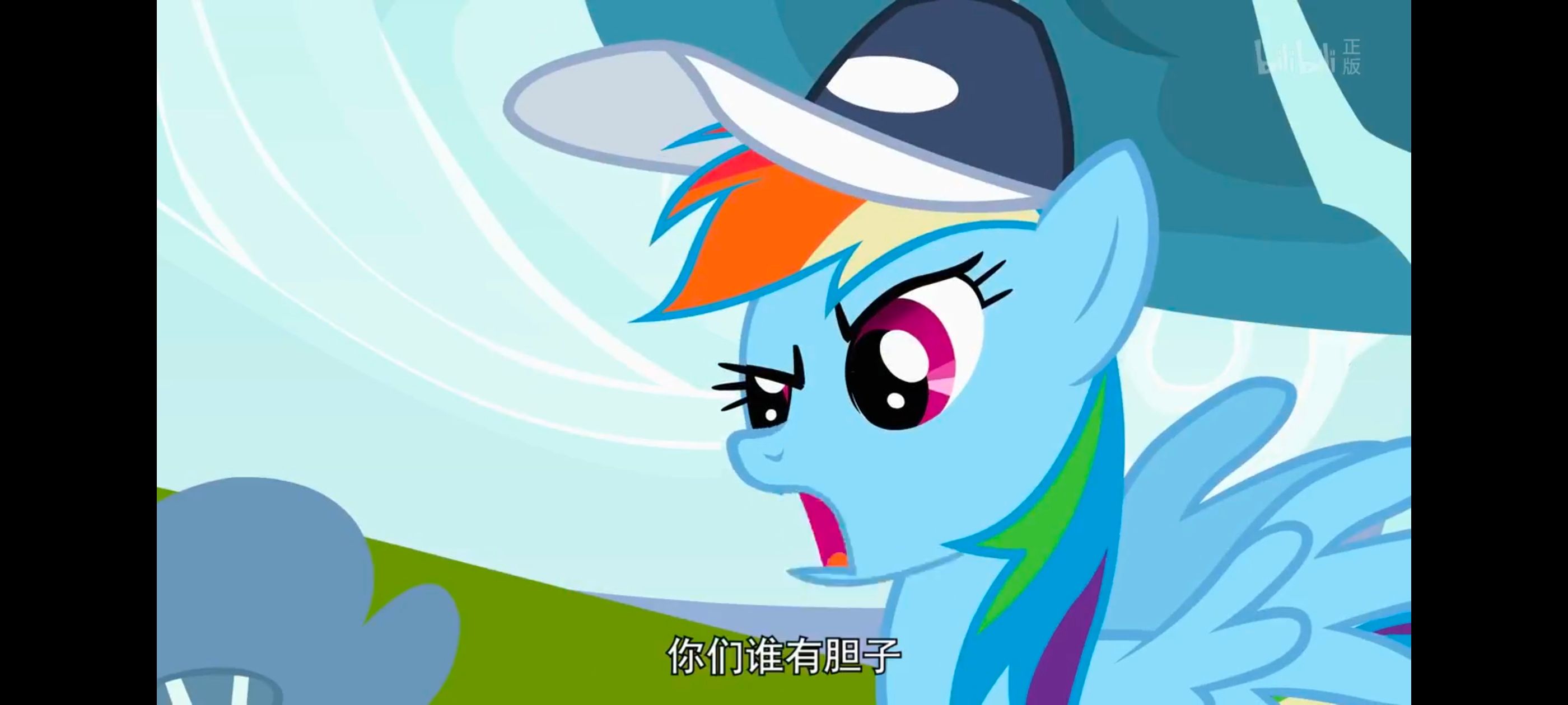 小马宝莉,彩虹小马,我的小马驹,动画,动漫,番剧,二次元,ACG