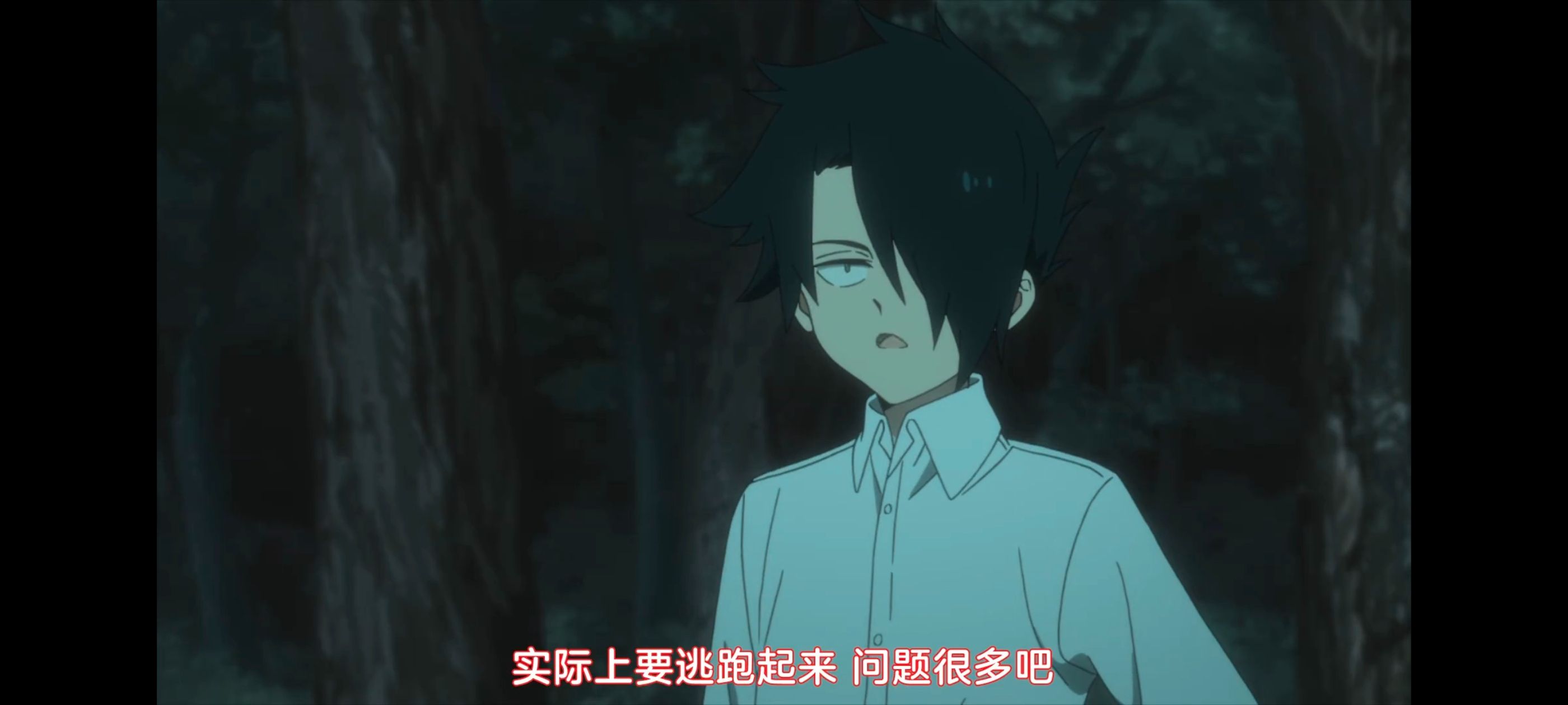 约定的梦幻岛,动画,动漫,番剧,ACG