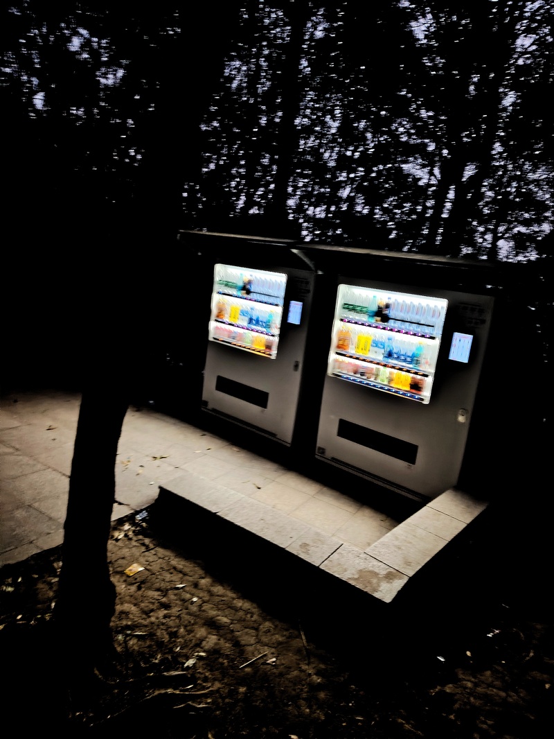 登山,记叙文,轻音少女