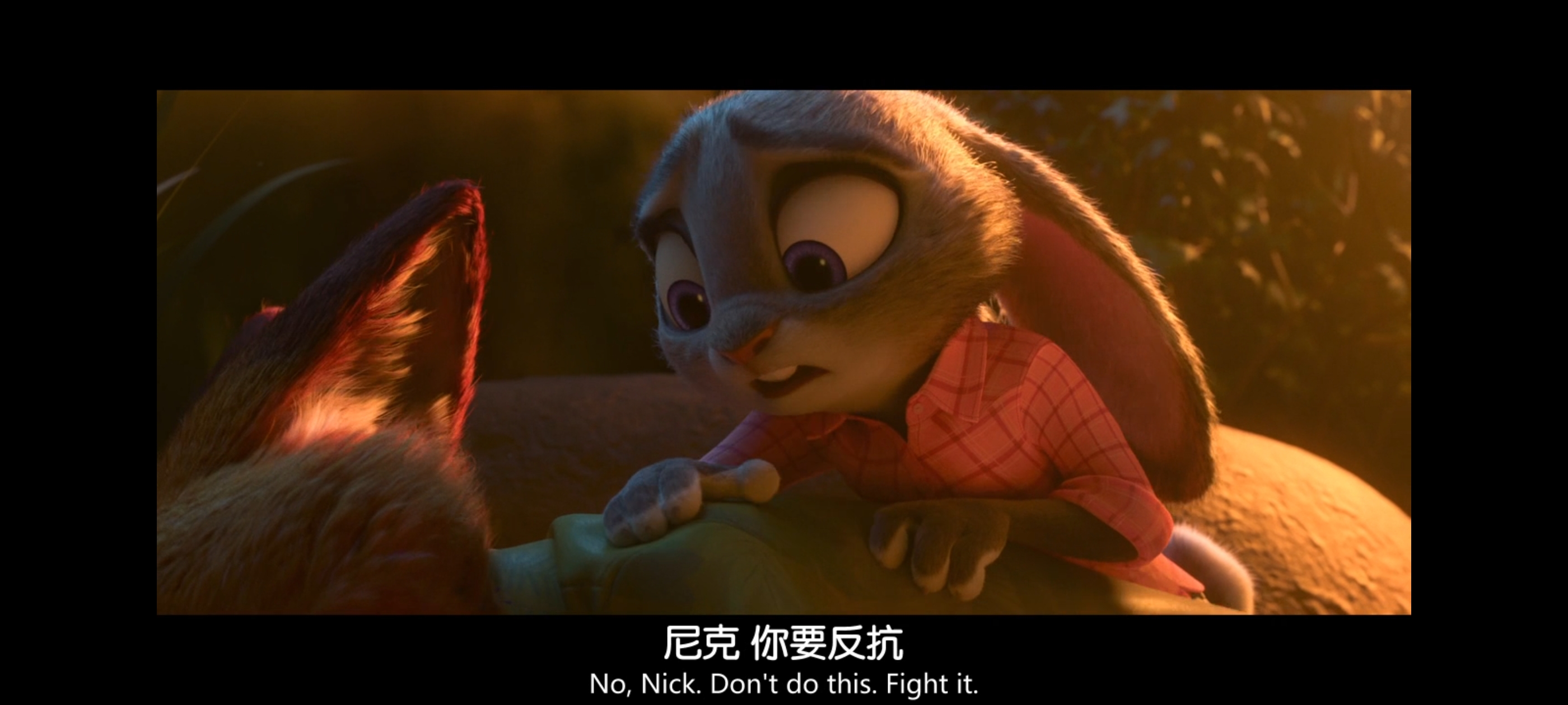 疯狂动物城,动画电影,动漫,动画,电影,二次元,ACG