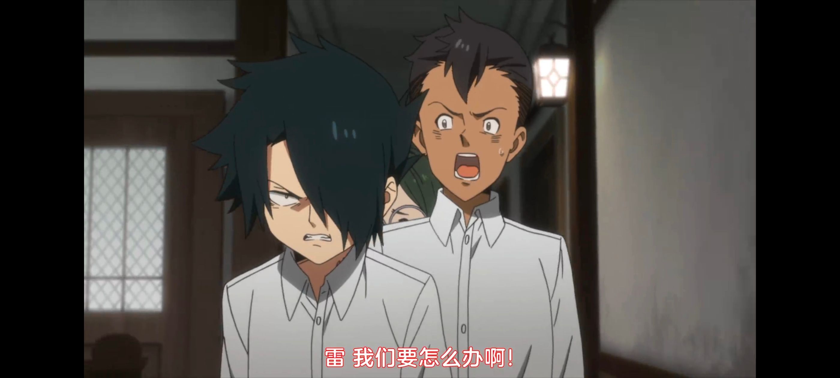 约定的梦幻岛,动画,动漫,番剧,二次元,ACG