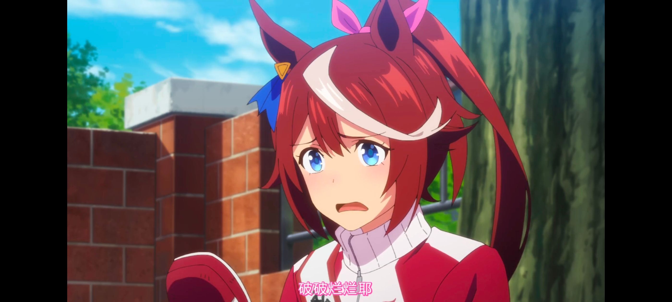 赛马娘,赛马娘PrettyDreby,动画,动漫,番剧,ACG