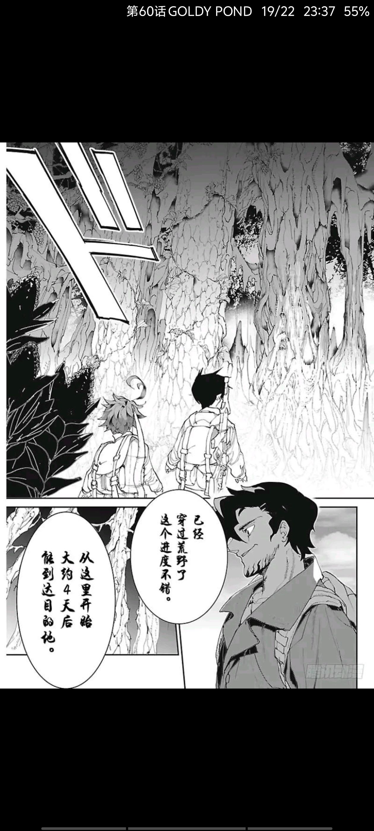 约定的梦幻岛,动漫,漫画,ACG