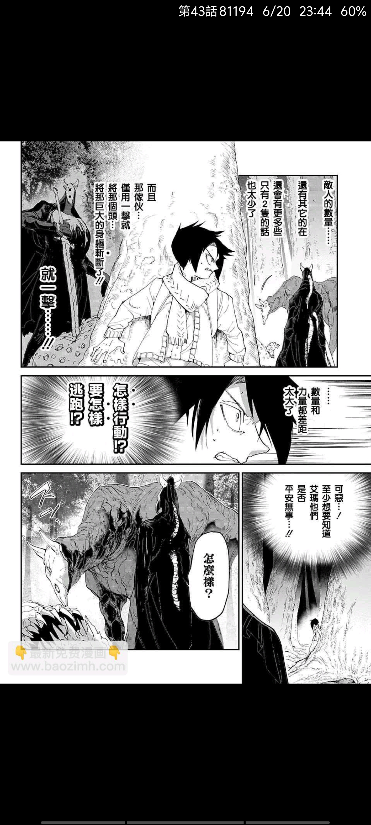 约定的梦幻岛,漫画,动漫,ACG