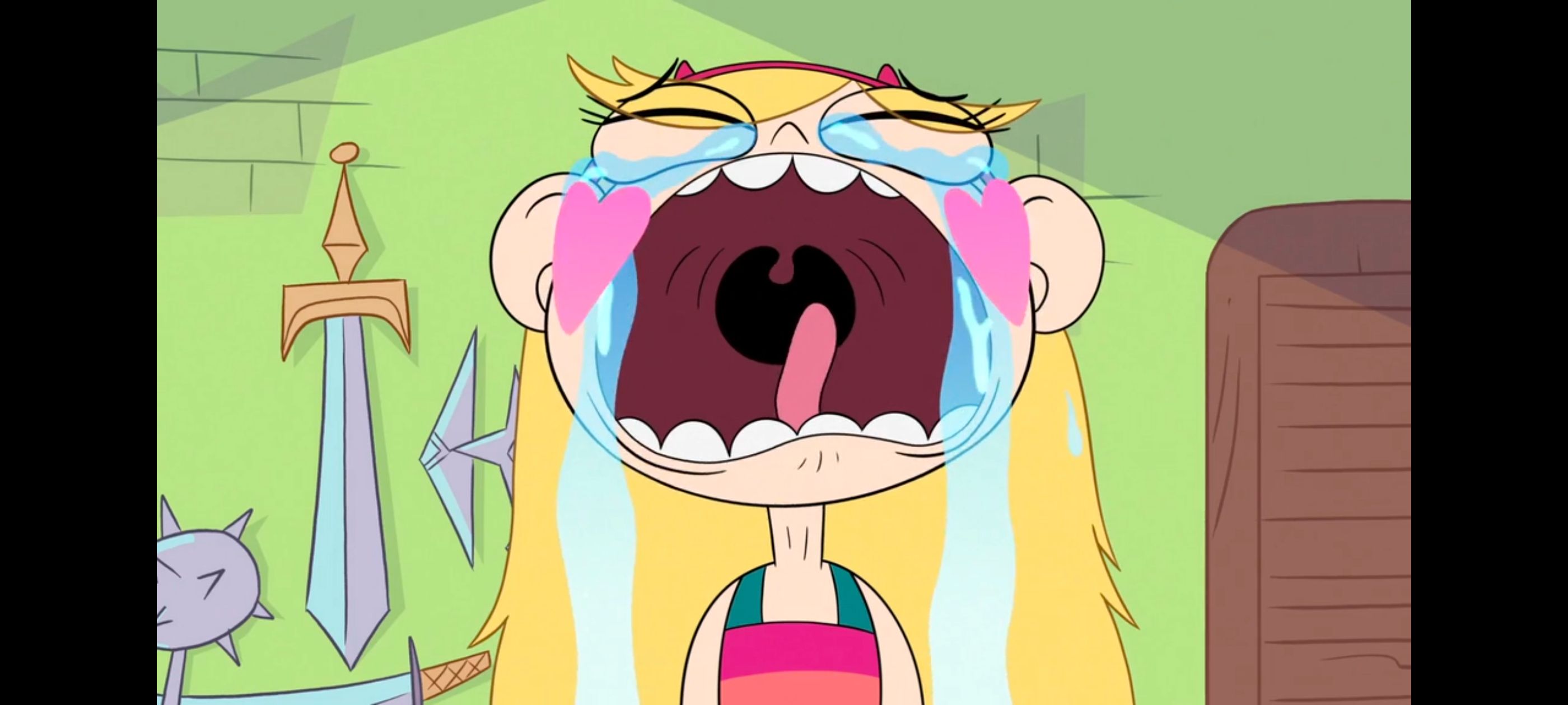 星蝶公主,公主闯天关,欧美动画,欧美动漫,奇幻,迪士尼,动画,动漫,ACG,番剧